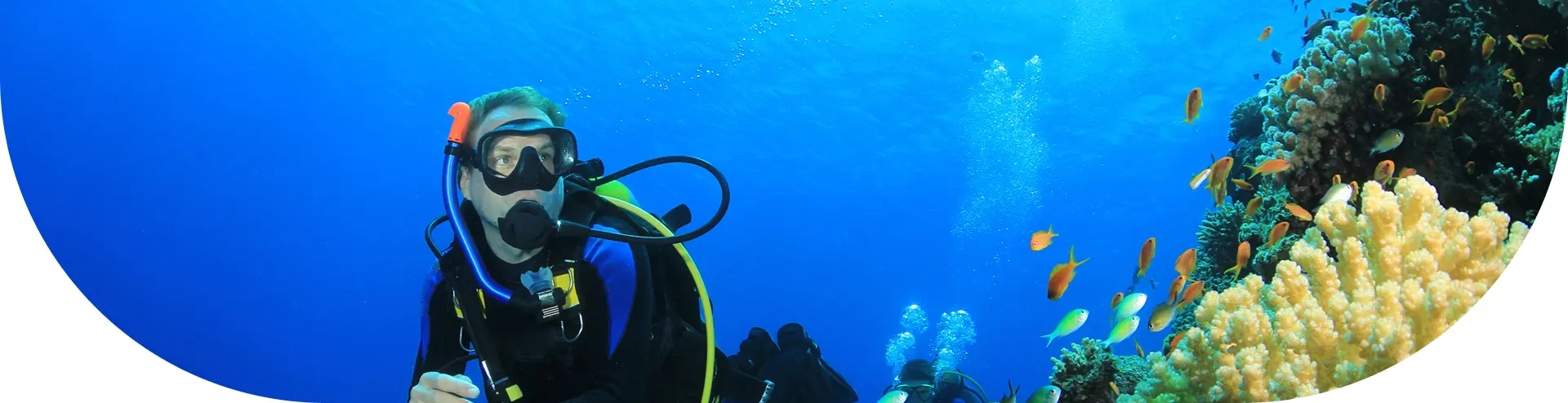 Book your diving adventure