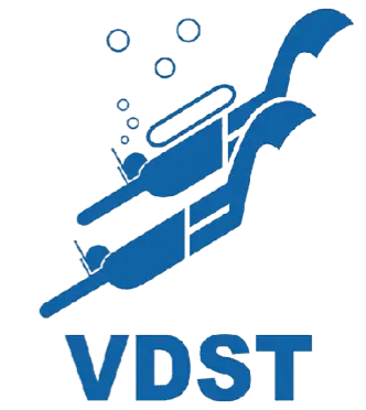 VDST