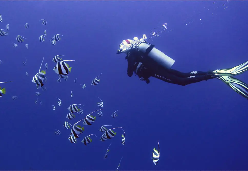 SSI Deep Diving Specialty