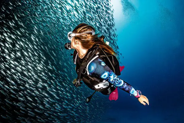 SSI Dive Guide
