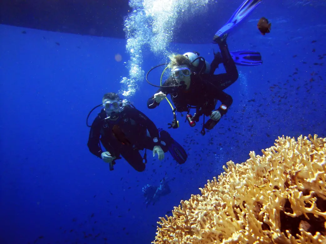 SSI Science of Diving Specialty