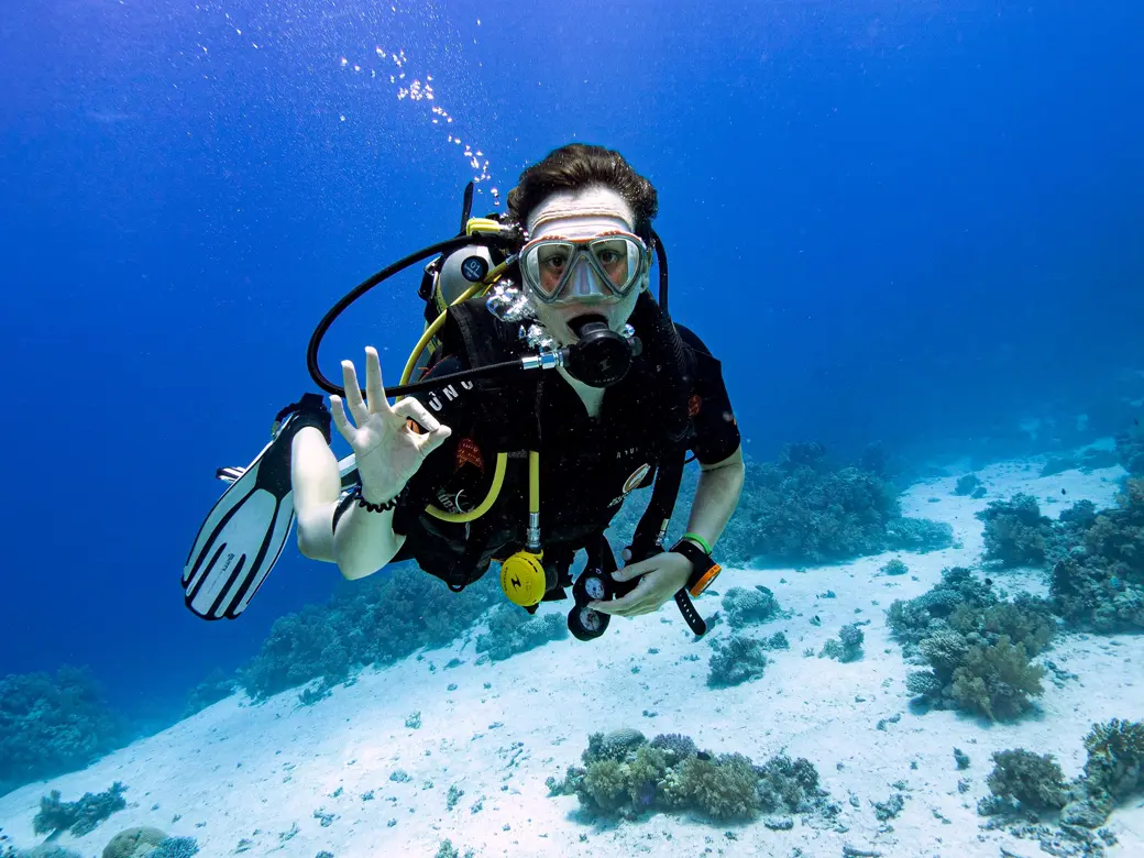 SSI Search & Recovery Specialty