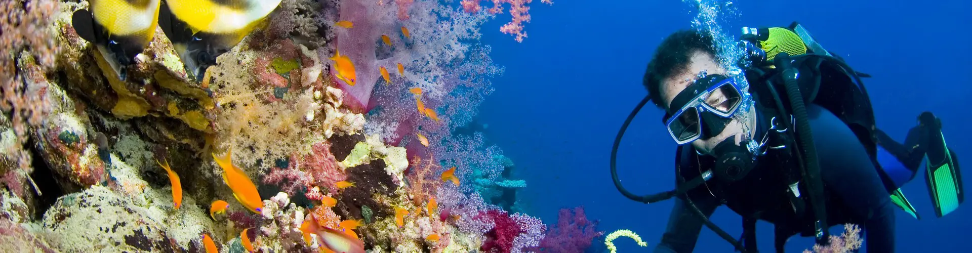 SSI Try Scuba