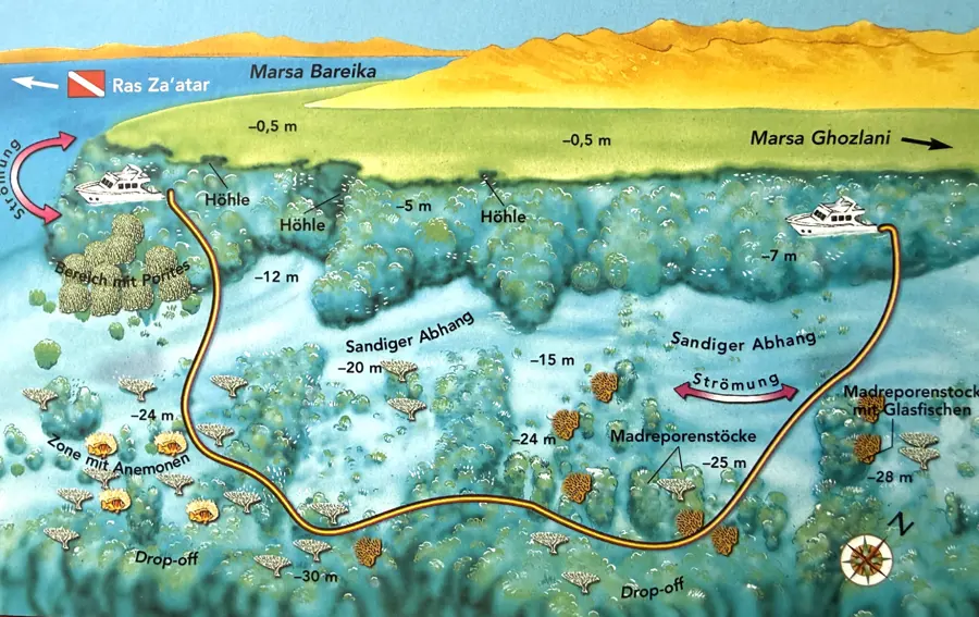 Ras Ghozlany – Korallenwald am Eingang der Marsa-Bareika-Bucht