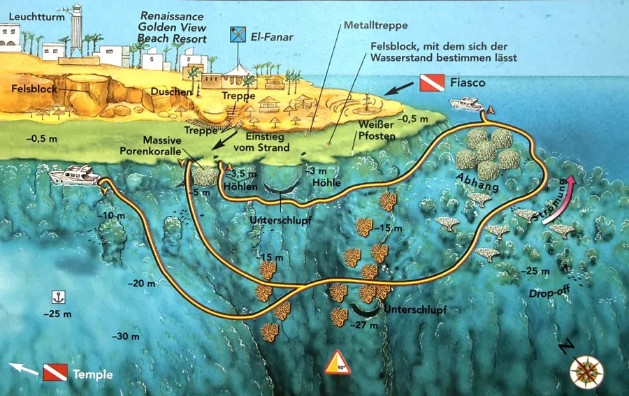 Ras umm Sid – Unser Hausriff, ein Gorgonienwald und viel mehr