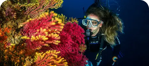 Exploring Ras Mohammed – Why It's a Must-Dive in Sharm