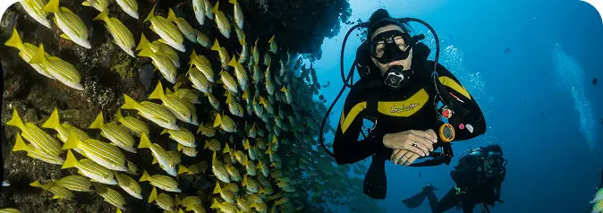 Night Diving in Sharm el-Sheikh – A Whole New World After Dark