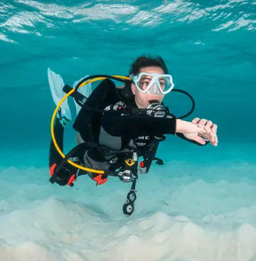 SSI Basic Diver