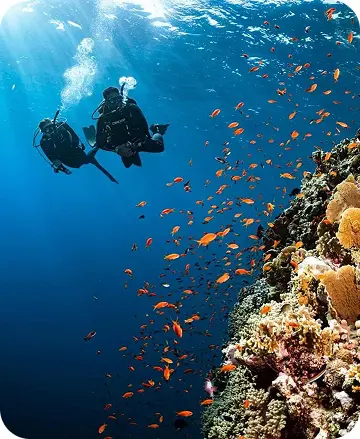 3 days diving (6 Dives)
