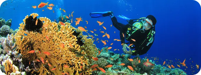 Tiran Island